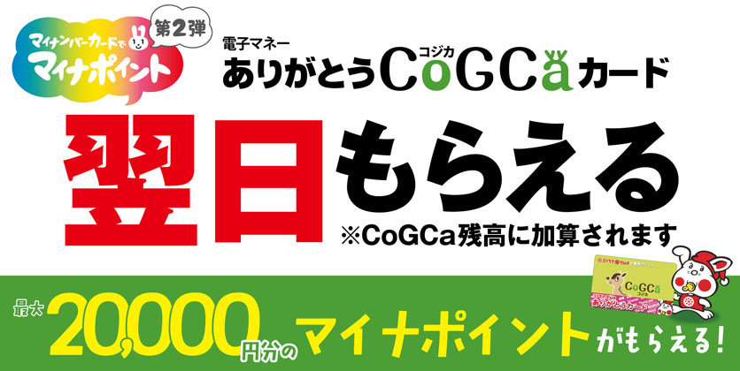 マイナポイント