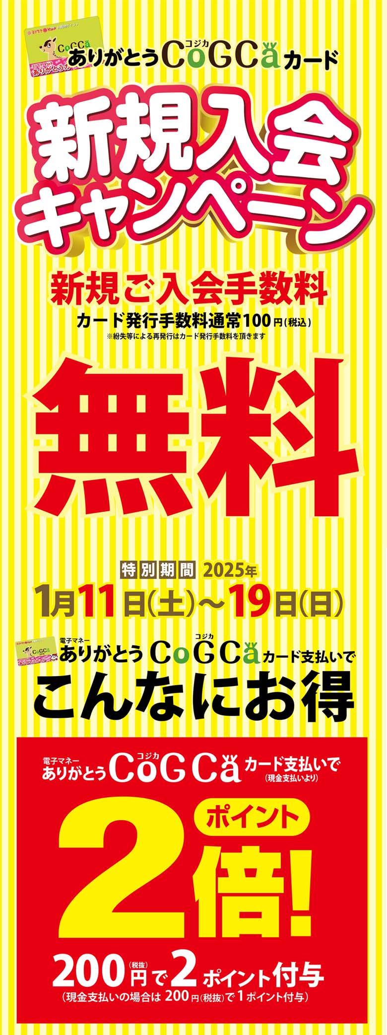 コジカ無料+アプリ100p+100p進呈 20250111～0119｜ヨシヅヤ ～地元を