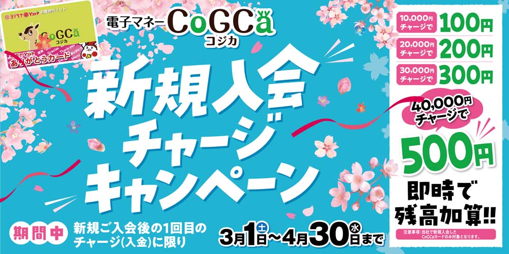 コジカ新規入会キャンペーン20250301