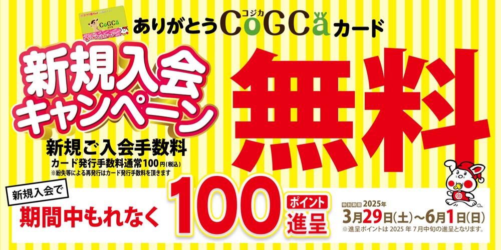 コジカ入会無料+100ｐ進呈　20250329-0601