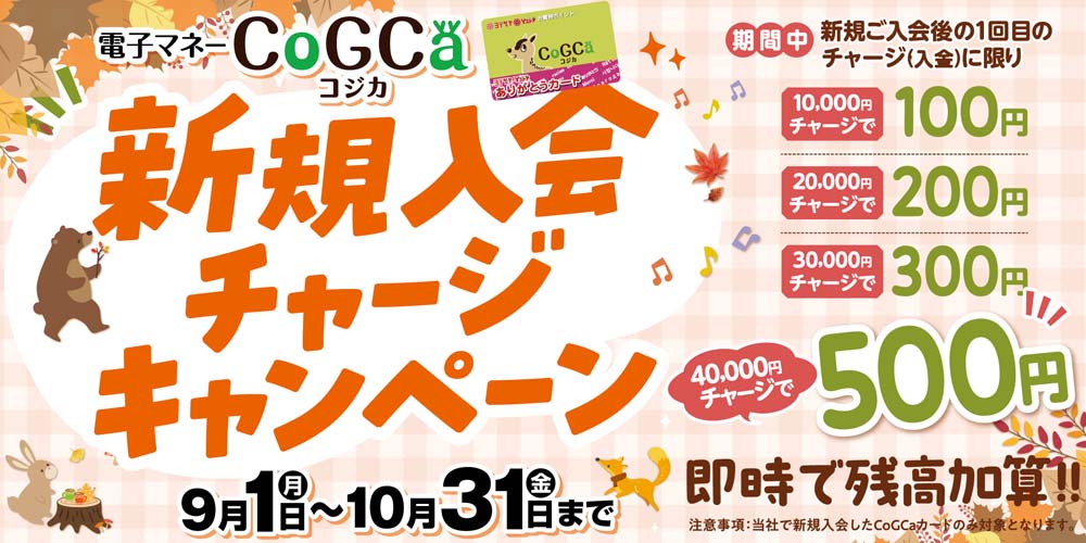 コジカ新規入会チャージキャンペーン　20250901