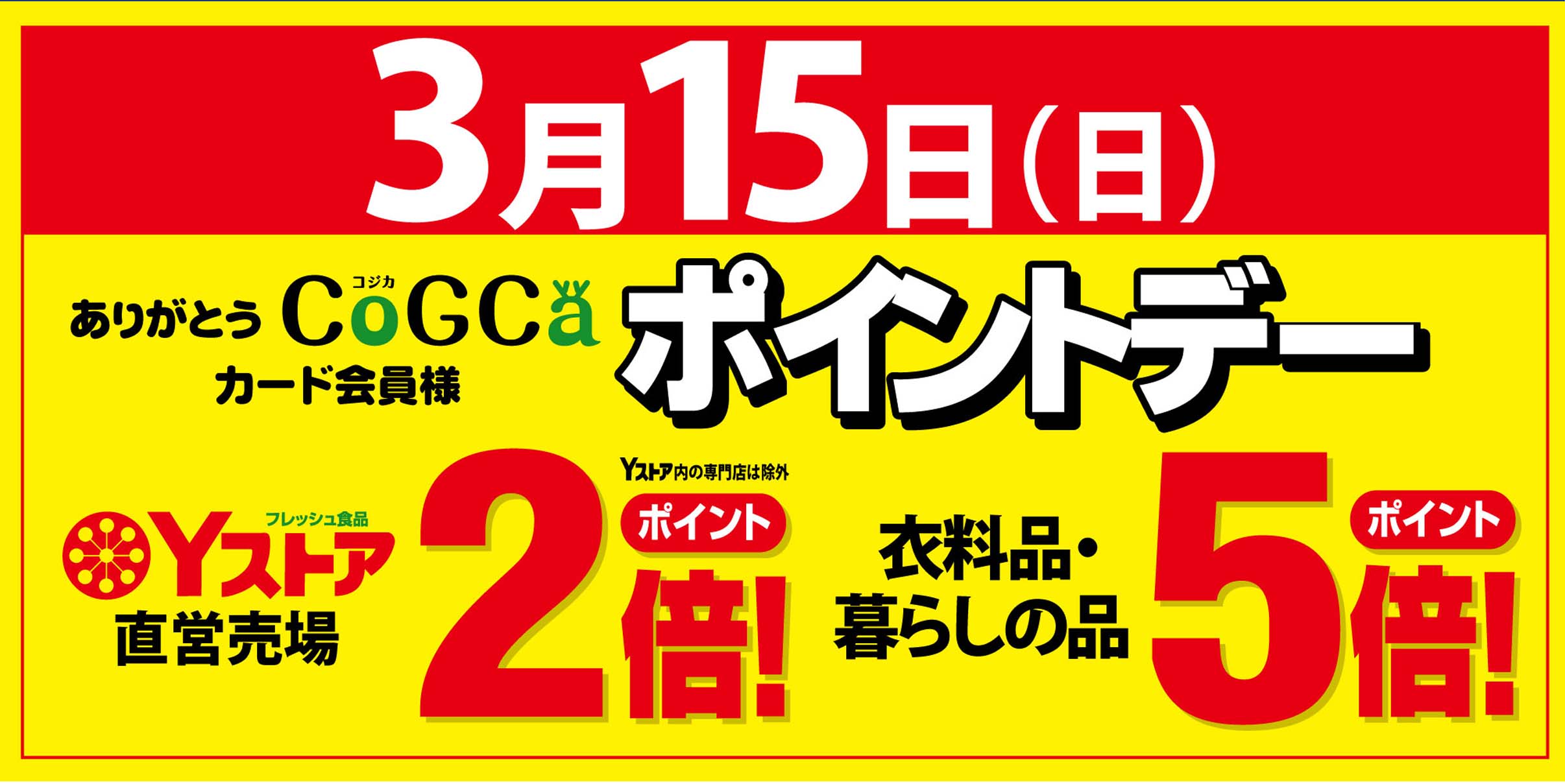 ヨシヅヤ　ポイントデー20260315