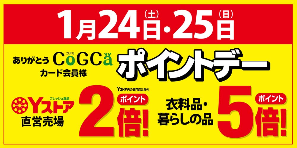 ヨシヅヤ　ポイントデー20260124-25