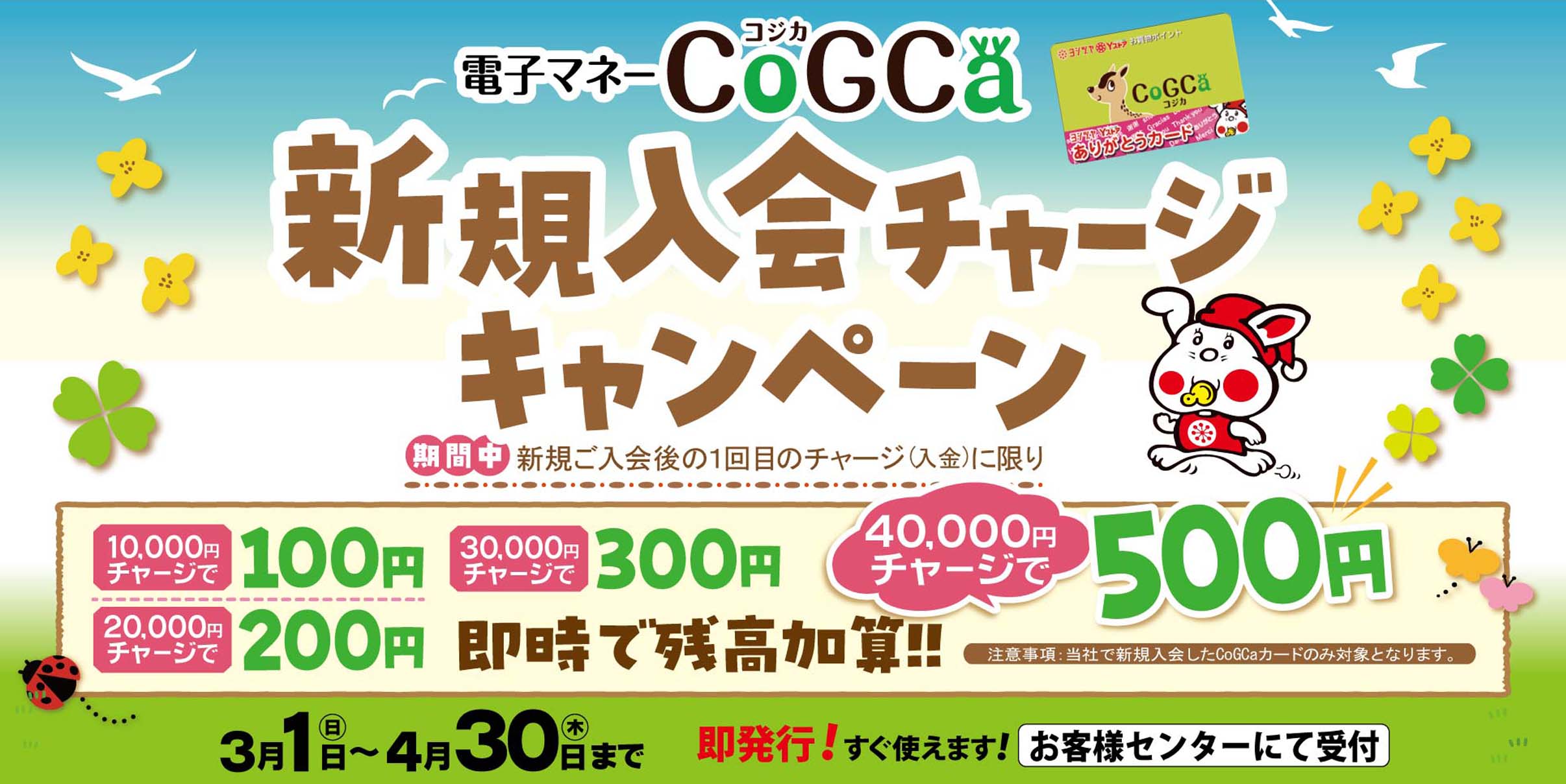 コジカ新規入会チャージキャンペーン20260301-0430