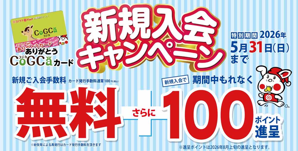 ヨシヅヤ　コジカ無料100p進呈20260501-31