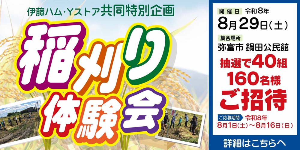 稲刈り体験会20260801-16
